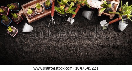 Gardening Tools and Plants on Soil Background. Spring Garden Works Concept Royalty-Free Stock Photo #1047545221