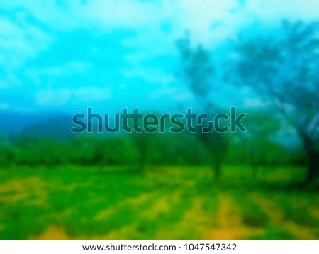 abstract nature texture | blurred background