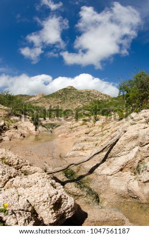 Desert creeks, Mexico.