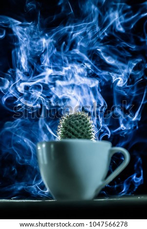 Cactus in white ceramic cup in front of  power of color blue smoke on black background . Idea of power and high energy to fulfill powerful of nature concept.