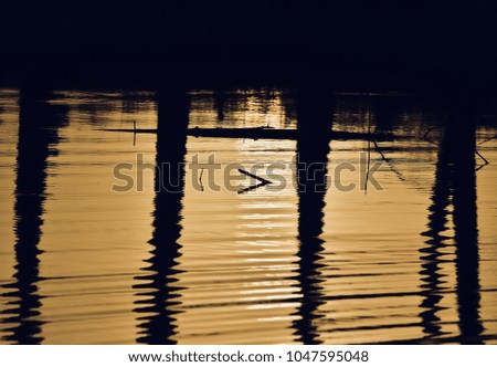 Beautiful trees & sunlight reflection in water unique stock photograph