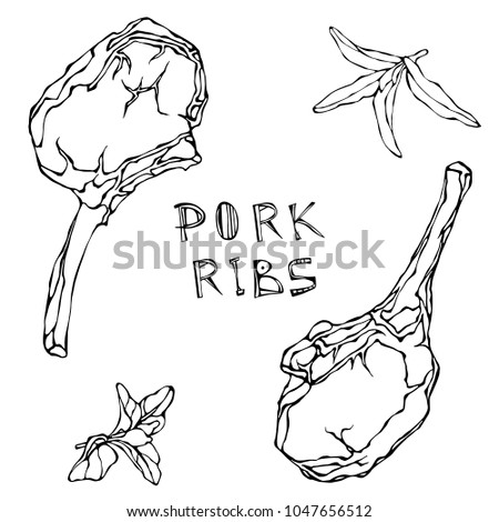 Row Pork Ribs and Herbs Sage and Marjoram. Fresh Meat Cuts. Steak House or Butcher Shop or Restaurant Menu. Lamb, Pork, Ribs. Hand Drawn Illustration. Savoyar Doodle Style.