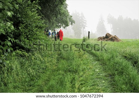 Rainy Day of Summer in Germany. Border Walk in Germany.