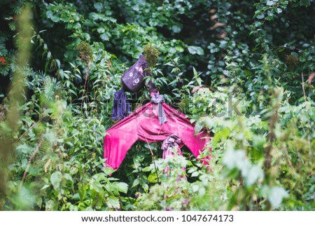 Vibrant picture of scarecrow in countryside