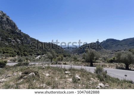 Cyclists on a mountain road in Mallorca