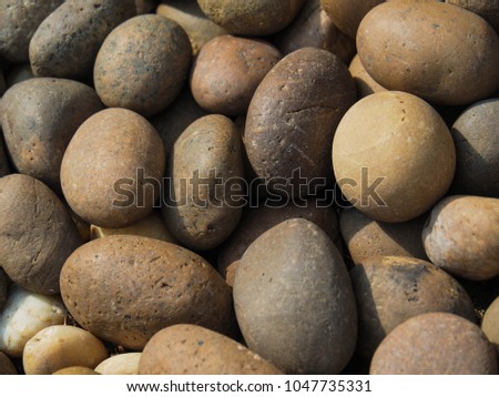 
beautiful lined Brown pebbles in close up