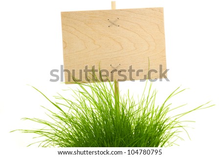 Empty wooden Sign with Fresh Green Grass / isolated on white