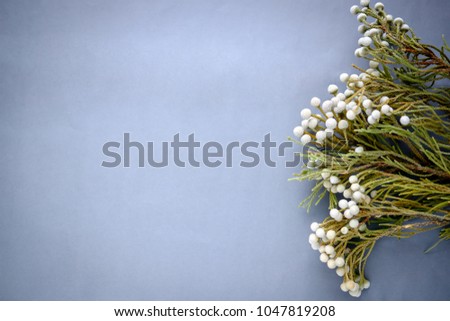 Beautiful flowers on a colored background.The special focus.Copy space.