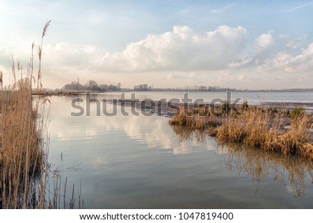 Wide view of a creek in Dutch National Park De Biesbosch. It's winter, the high water level is gradually declining and flooded areas become visible again.