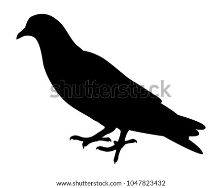 Pigeon silhouette vector