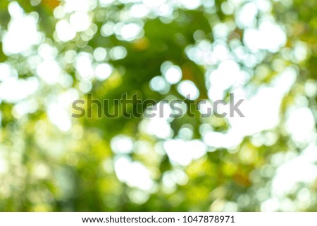 Green, yellow, orange, blurred
Natural white background