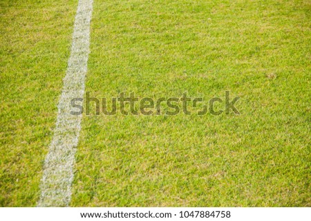 close-up Surface of the football field