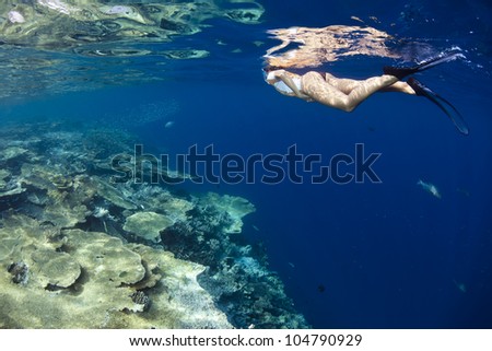 A woman snorkeling trip in blue lagoon of a paradise island. Picture take in Ari atoll - Maldives.
