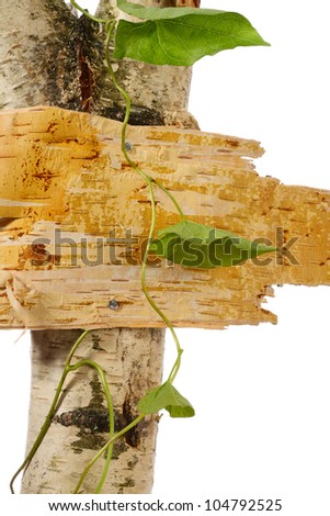 Signpost from birch cork isolated on white