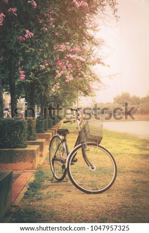 Vintage bicycle in a park at sunset.Flim grain, Vintage tone 