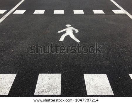 Pedestrian crossing white marking on the road