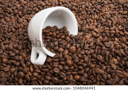 coffee beans on a white background. coffee. coffee beans closeup
