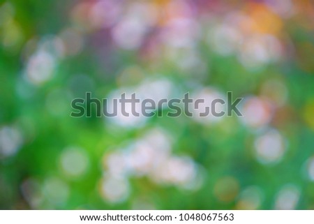 Blurred natural background of white roses on greenish background.Suitable for powerpoint presentation.