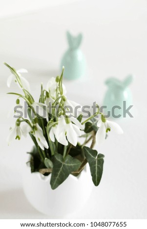Easter background with snowdrops, eggs and hares