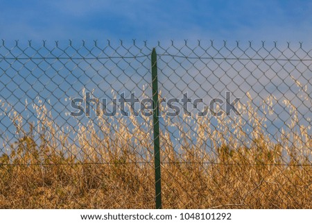Razor and barbed wire fence. Forbidden place