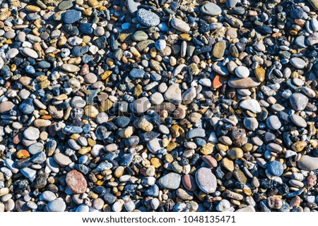 Background with colorful stones on the coast