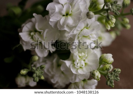 White Stock Wedding Flowers