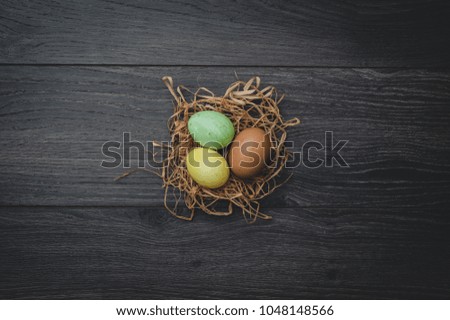Easter concept: painted eggs in nest on dark wooden background