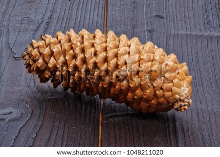 Brown spruce cone on a wooden background