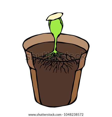 Flower Pot with Soil. Seed, Sprout and Root. Flowerpot for Sprouting Plant. Seedling. Phases of Growth of a Plant. Gardening Hobby Hand Drawn Illustration. Savoyar Doodle Style.