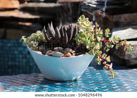 Succulent plant centerpiece container garden with pebbles on blue glass tile water feature and waterfall.