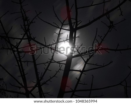 Silhouette photo of a tree with bare branches on a full moon night with clouds 