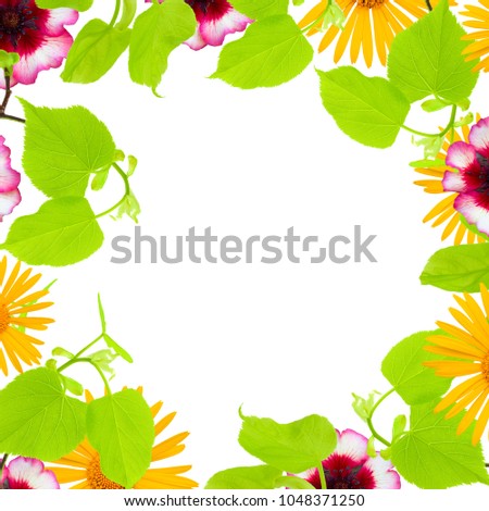 A spring frame with linden tree branches, yellow chamomile and pink flower buds, branches and leaves isolated on white background. An overhead photo, flat lay, top view. Spring mood holidays border
