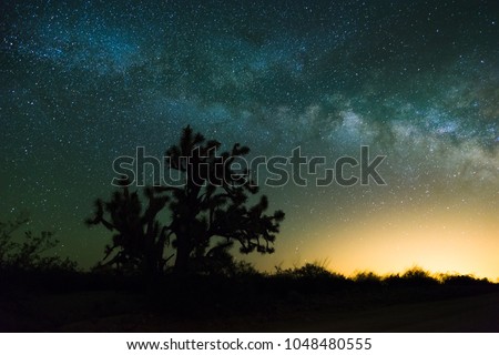 A lone Joshua tree and milky way in the backdrop, Wickenburg, Arizona
