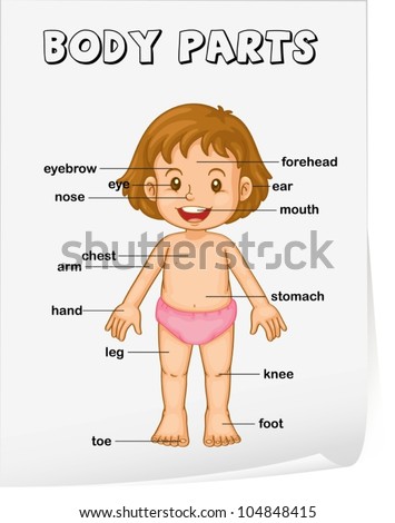 Body parts girl Stock Photo 1064352386 - Avopix.com