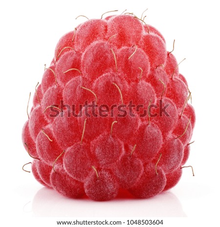 Single red raspberry berry fruit isolated on white background