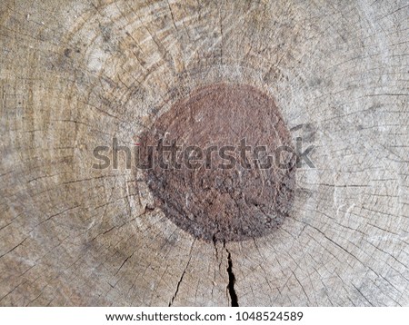 Close up Wood Texture, rings of the tree background, close up growth rings of plant, dry wood surface, cracked wood cutting board texture