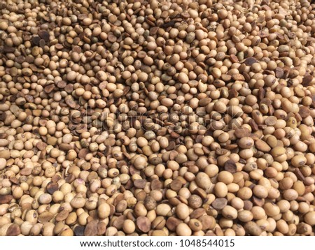 Roasted peanuts To be translated into food.