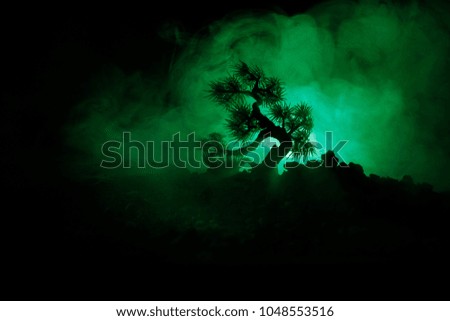 Silhouette Tree on full moon background. Full moon rising above japanese style tree against toned foggy sky. Decorated photo
