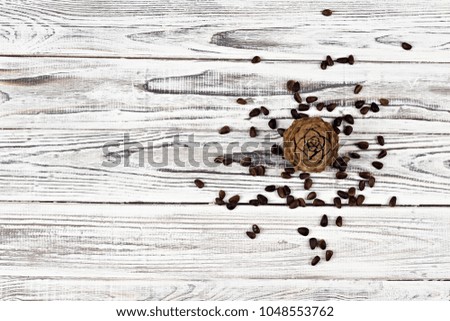 Cedar cone and nuts on a white wooden background