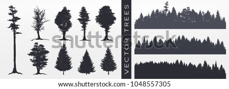 Tree collection, Forest silhouette, isolated on white, vector illustration.