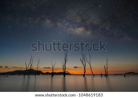 The milky way galaxy stars  and sunrise landscape in the lake with dead trees. 