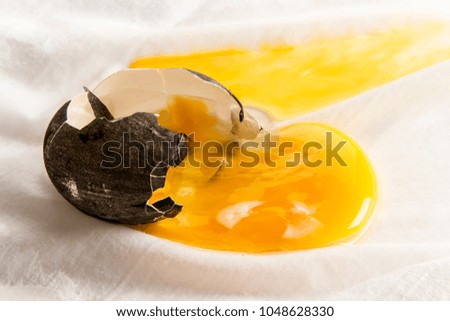 Broken Dark Egg 