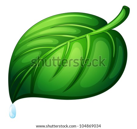 Illustration of a leaf on white -