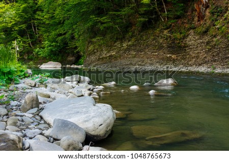 boulders on the shore of the river. lovely nature scenery in forest