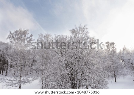 Photo of snowy landscape with blue sky and road in winter