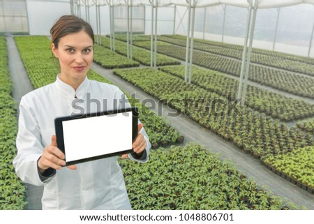 Female Biotechnology engineer tablet greenhouse. Plant seedlings growing greenhouse spring. 