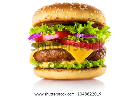 Delicious burger, isolated on white background