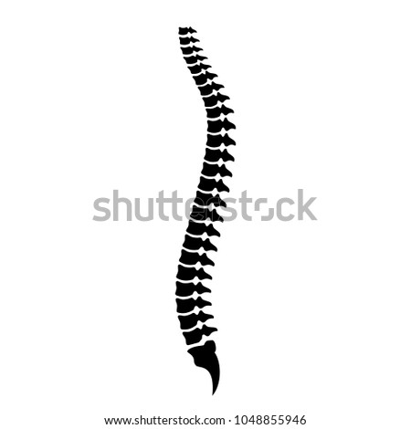 Spine cord vector icon illustration isolated on white background Royalty-Free Stock Photo #1048855946
