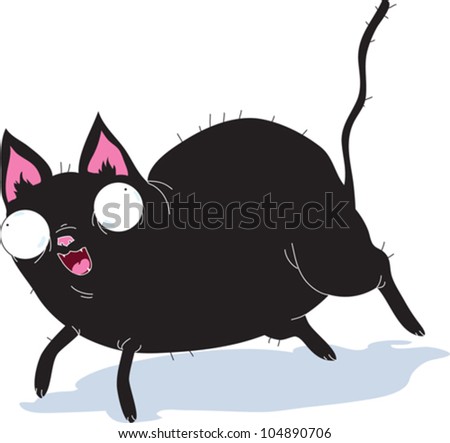 Black Cat Jumping