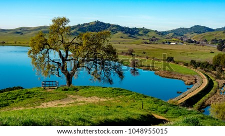 Panoramic view of  Lagoon Valley Park in Vacaville, California, USA, featuring oak tree and a lake and pedestrial walkway around it, from above  Royalty-Free Stock Photo #1048955015
